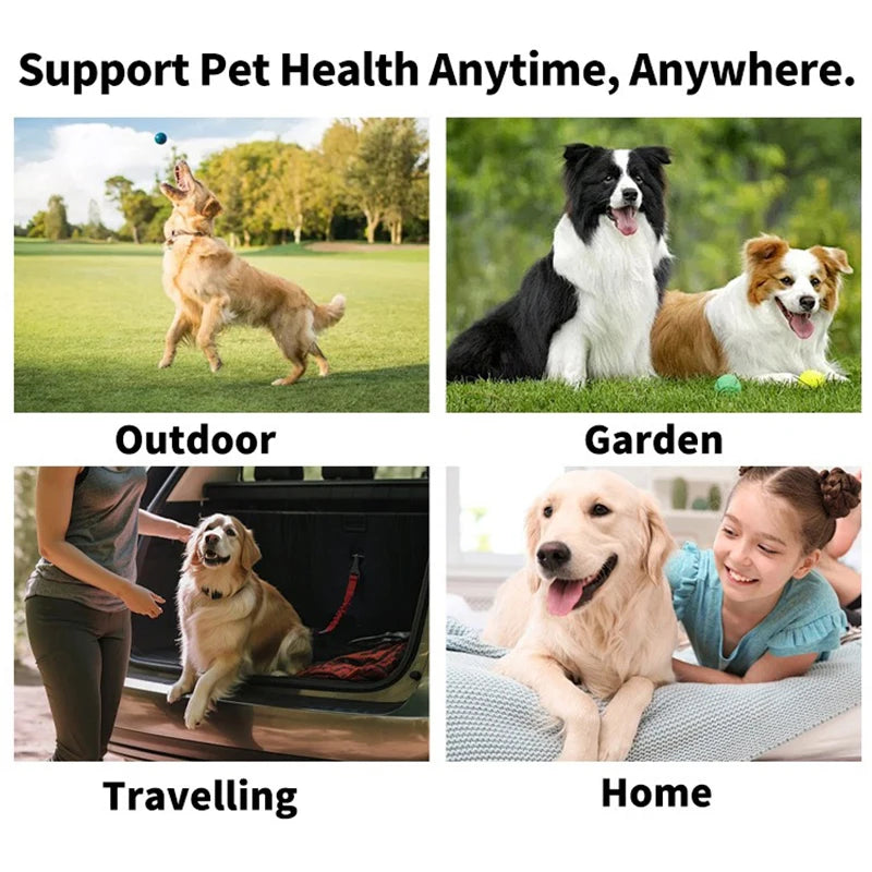 Pet Teeth Products Disposable