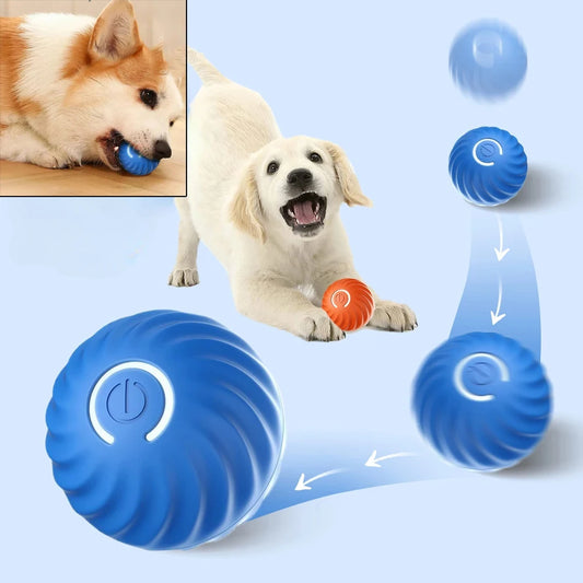 Dog Toy Ball Automatic Moving USB