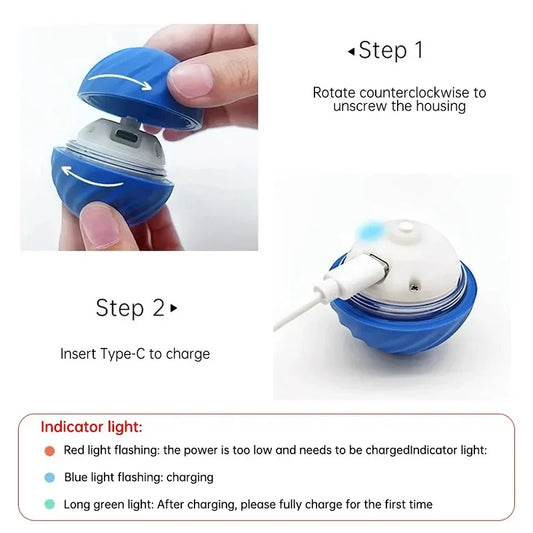 Dog Toy Ball Automatic Moving USB