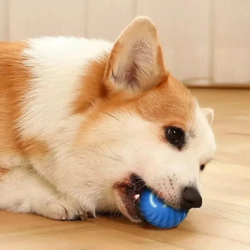 Dog Toy Ball Automatic Moving USB
