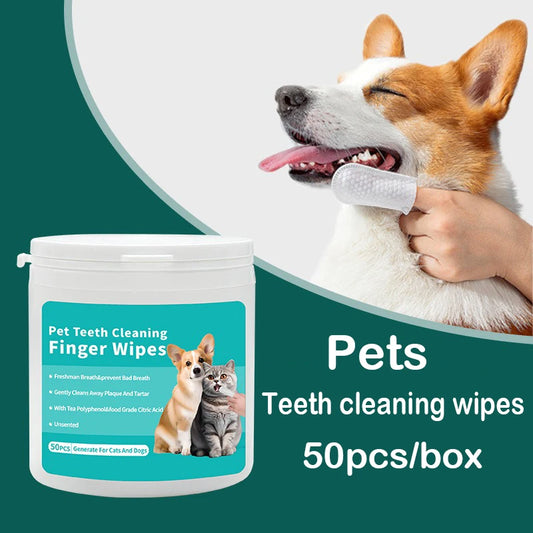 Pet Teeth Products Disposable