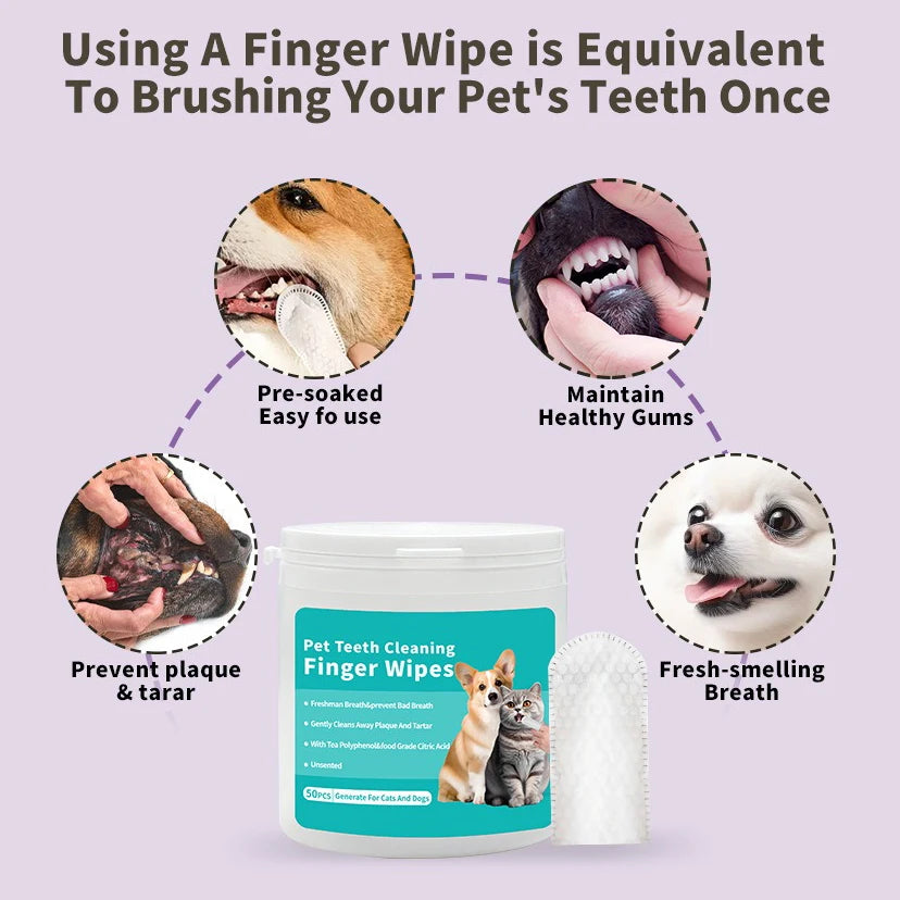 Pet Teeth Products Disposable