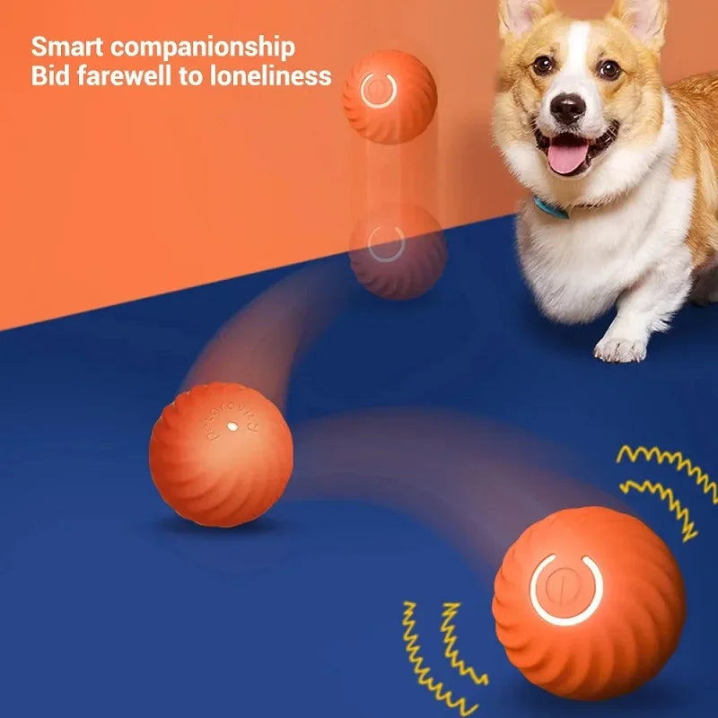 Dog Toy Ball Automatic Moving USB
