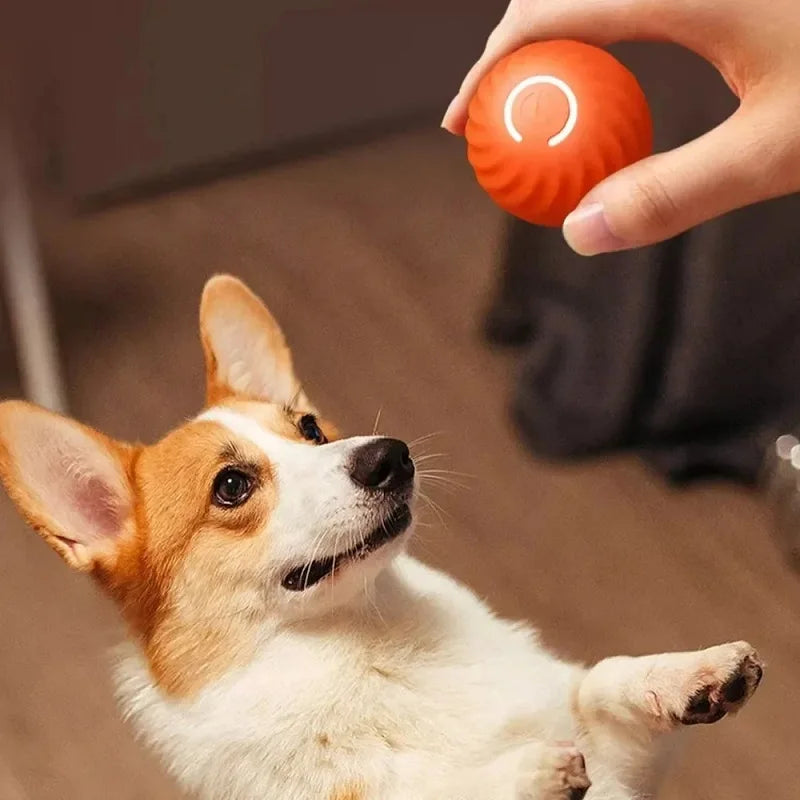Dog Toy Ball Automatic Moving USB